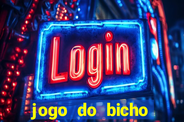 jogo do bicho crash bingo